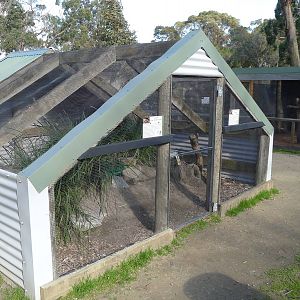 Water dragon & tortise enclosure
