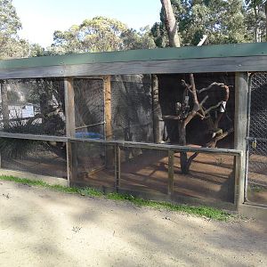 Flying Fox enclosure
