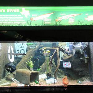 Trinity River Exhibit