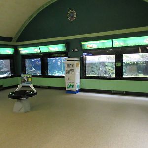 Assorted Freshwater Exhibits