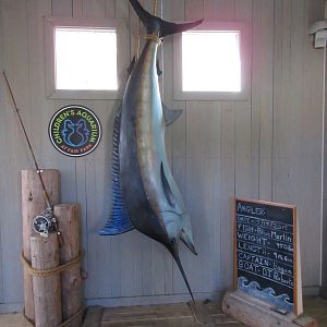 Marlin Model
