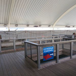 Stingray Bay + Shark Tank Building