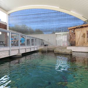 Shark Tank - Overhead View