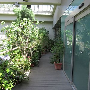 Butterfly House - Entrance Area