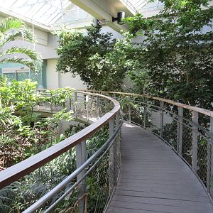 Butterfly House