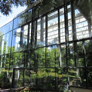 Butterfly House - Exterior