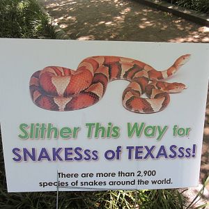 Snakes of Texas - New Permanent Exhibit in 2015