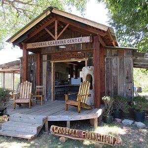 Snakes of Texas - New Permanent Exhibit in 2015