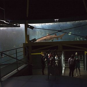 Central tank