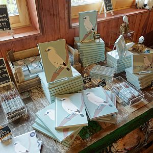 Islands Shop - Merchandise - 18/07/2015