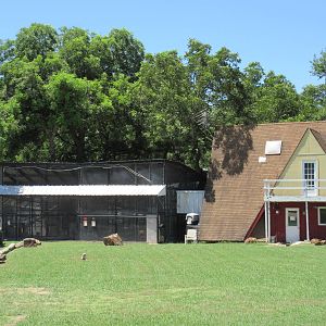 Cougar Exhibits + Staff Building