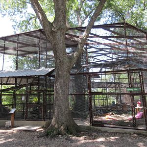 African Leopard Exhibit