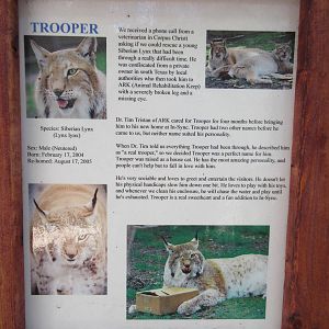 Example of story on each cage