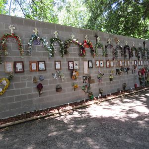 Tribute to deceased felines