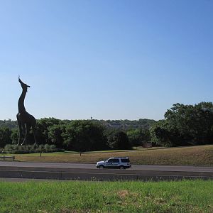 Giraffe Statue
