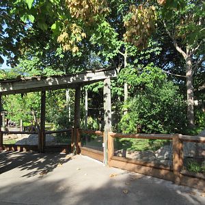 Lemur Exhibit - Ring-Tailed, Black + White Ruffed + Collared