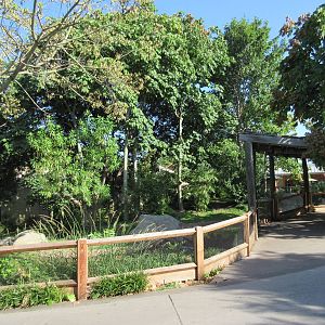 Lemur Exhibit - Ring-Tailed, Black + White Ruffed + Collared