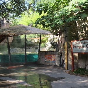 African Penguin Exhibit