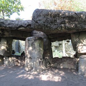 Mandrill Exhibit - Viewing Windows