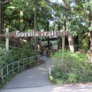 Gorilla Trail - Entrance