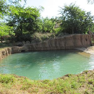 Giants of the Savanna - African Elephant Pool