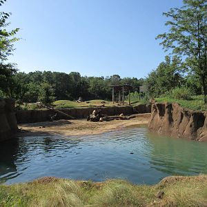 Giants of the Savanna - Main Yard