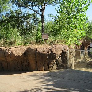 Giants of the Savanna - Warthog Exhibit Viewing Area