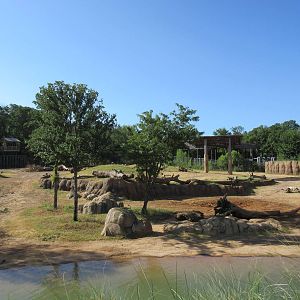 Giants of the Savanna - Main Yard