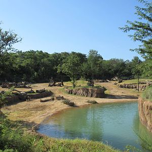 Giants of the Savanna - Main Yard