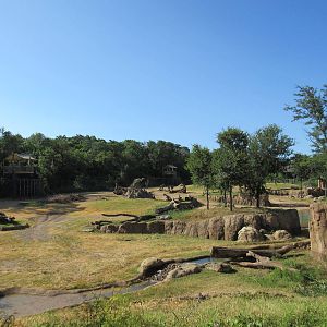 Giants of the Savanna - Main Yard