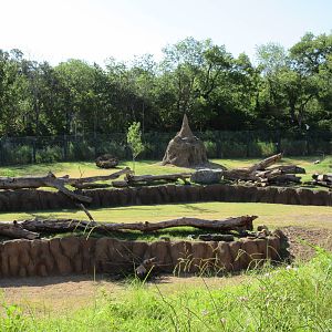 Giants of the Savanna - Main Yard