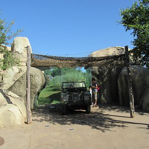 Giants of the Savanna - Cheetah Exhibit