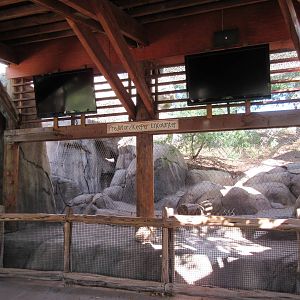 Giants of the Savanna - Predator Training Area