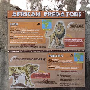 Giants of the Savanna - Predators Sign