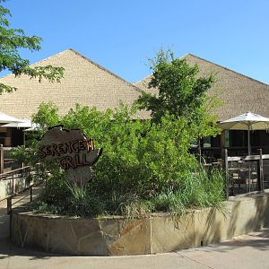 Giants of the Savanna - Serengeti Grill Restaurant