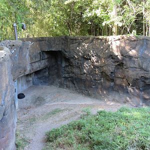 Gorilla Exhibit #1 - ugly section