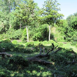 Gorilla Exhibit #1 - beautiful section