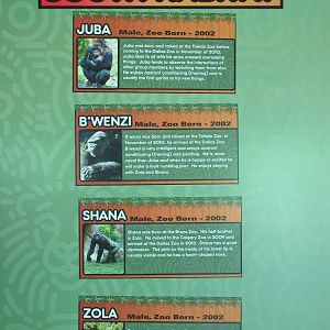 Gorilla Exhibit - Sign