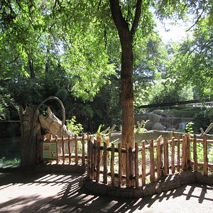 Nile Crocodile Exhibit