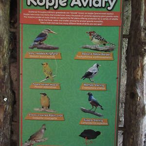 Kobje Aviary Sign (8 Species)