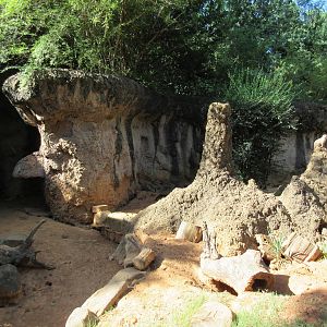 Meerkat/Leopard Tortoise Exhibit