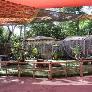 Wild Encounters - Presentation Area