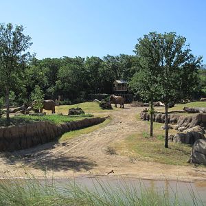 Giants of the Savanna - Main Yard (4 elephants are visible)
