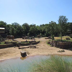 Giants of the Savanna - Main Yard