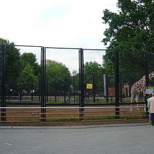 Samson's enclosure