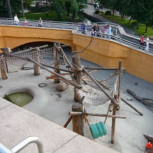 Japanese macaque exhibit