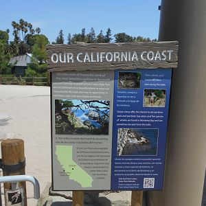 Sea lion coast interpretive sign