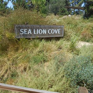 Sea Lion Cove opening scene