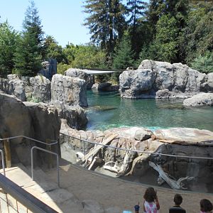 Opening view of sea lion exhibit