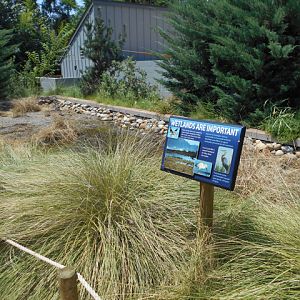 Wetland exhibit in Sea Lion Coast along entry trail